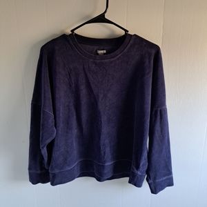 Velvet crop sweater
